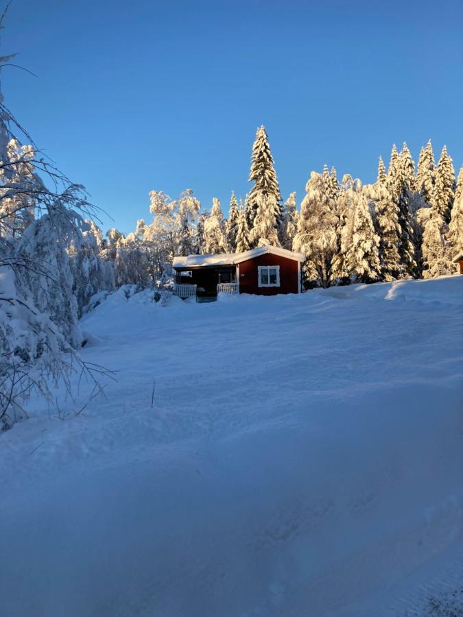 Baervallen 388 Sälen Eksteriør billede